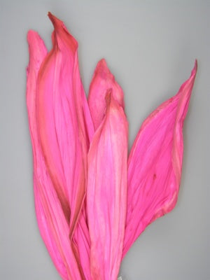 Image for Frunze betal inalbit roz