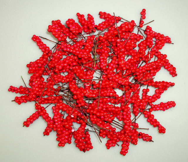 Image for Pick coacaze 4cm S/60 rosu