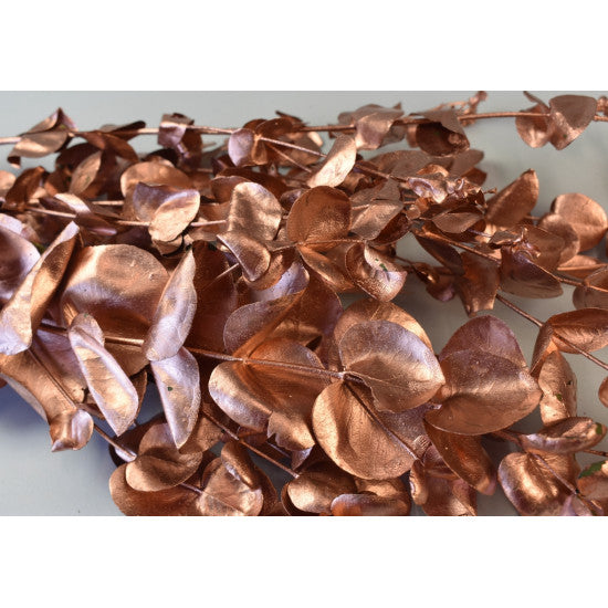 Creanga eucalypt cu frunze rotunde preparat bronz