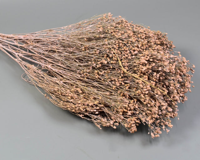 Image for Broom Bloom 100gr. vopsit roz