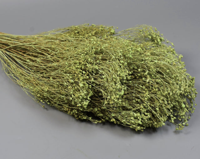 Image for Broom bloom 100gr vopsit verde deschis