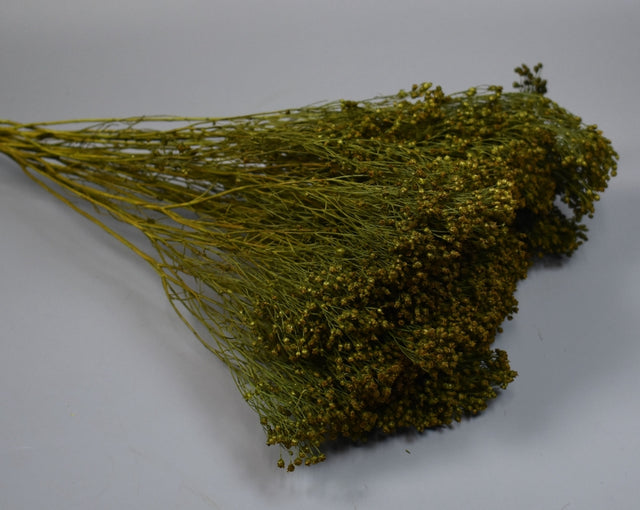 Image for Broom Bloom 100g verde inchis