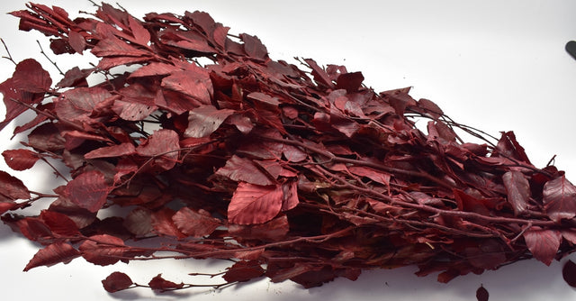 Image for Ramura de fag prep.rosu