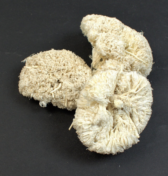 Image for Bran mushroom inalbit
