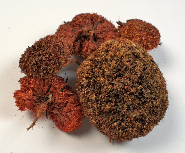 Image for Bran mushroom portocaliu