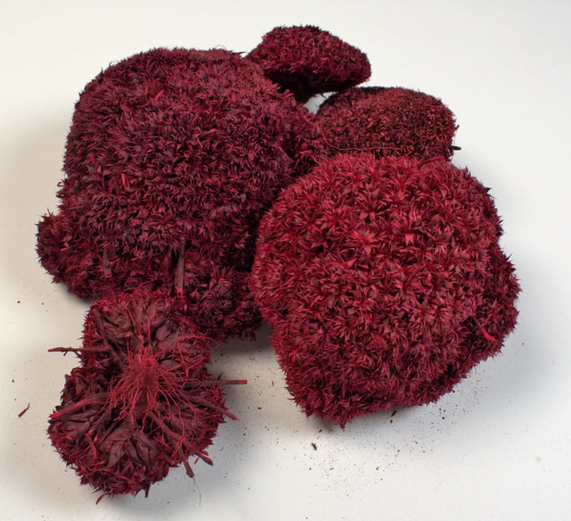 Image for Bran mushroom rosu