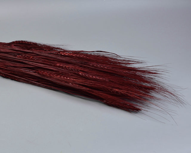 Image for Grau cu spic lung 150g bordeaux