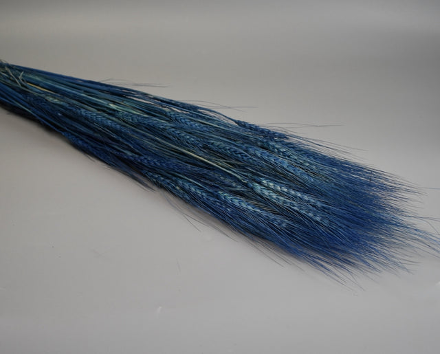 Image for Grau cu spic lung 150g inalbit albastru