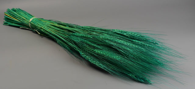 Image for Grau cu spic lung 150g inalbit turcoaz