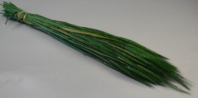 Image for Grau cu spic lung 150gr verde inchis