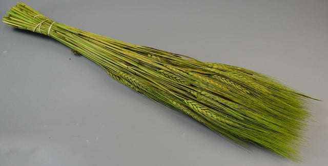 Image for Grau cu spic lung 150g verde deschis