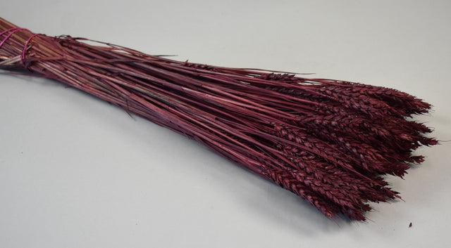 Image for Grau fara arifte 150g bordeaux