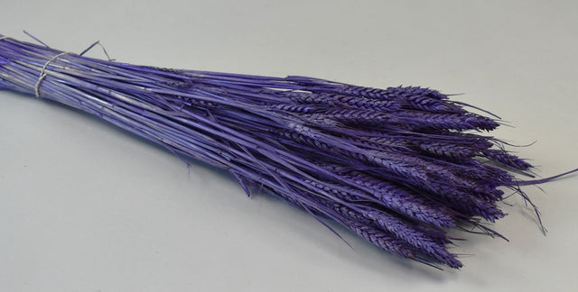 Image for Grau fara arifte 150gr inalbit mov