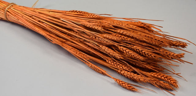 Image for Grau fara arifte 150gr inalbit portocaliu