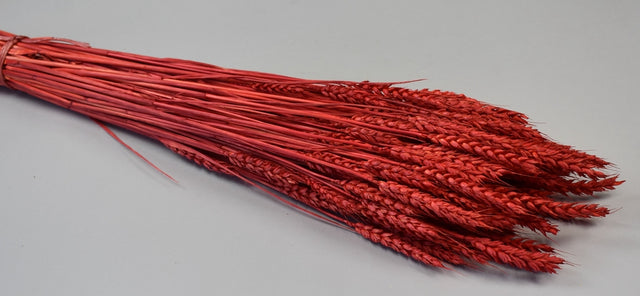 Image for Grau fara arifte 150gr inalbit rosu