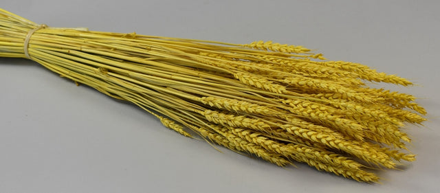 Image for Grau fara arifte 150gr inalbit galben