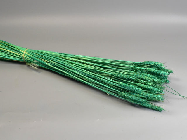 Image for Grau fara arifte 150g inalbit turcoaz