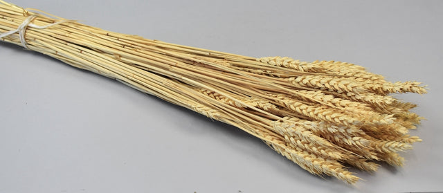 Image for Grau fara arifte 150gr inalbit