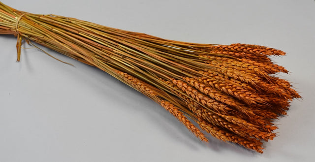 Image for Grau fara arifte 150gr portocaliu