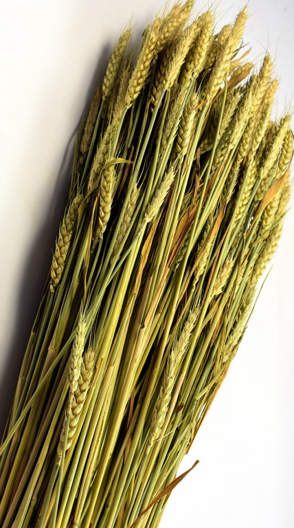 Grau fara arifte 500g natur