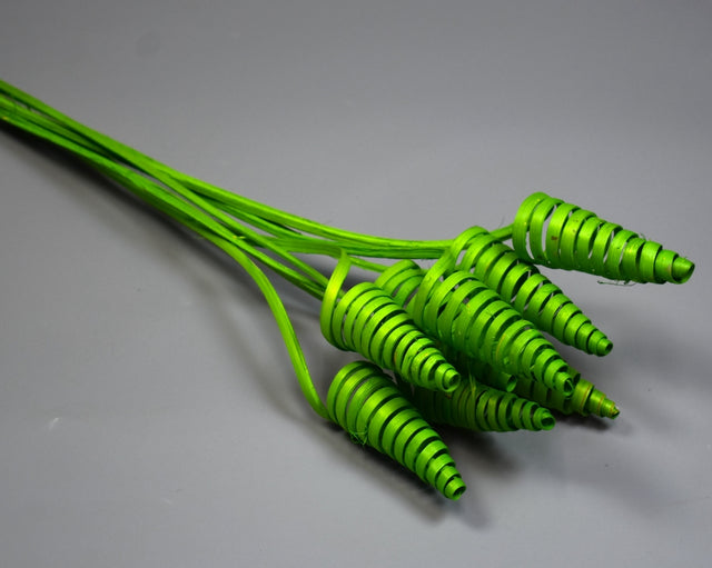 Image for Cane cone inalbit verde deschis