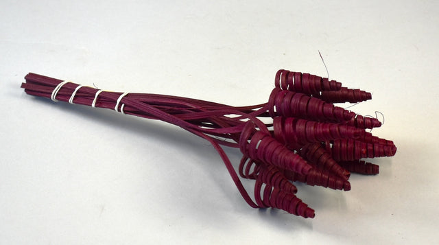 Image for Cane Cone mini bordo