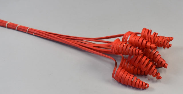 Image for Cane Cone rosu