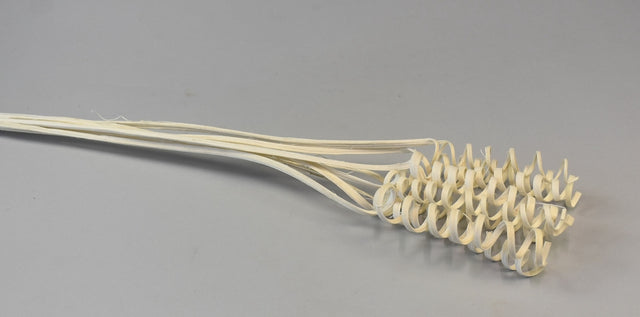 Image for Cane spring inalbit