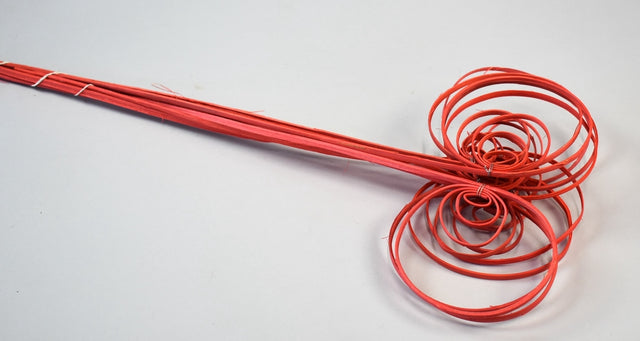 Image for Fire cane indoite inalbit rosu