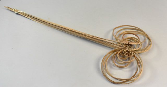 Image for Fire cane indoite natur