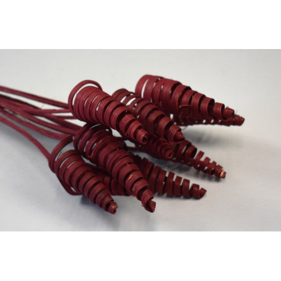 Cane cone bordeaux