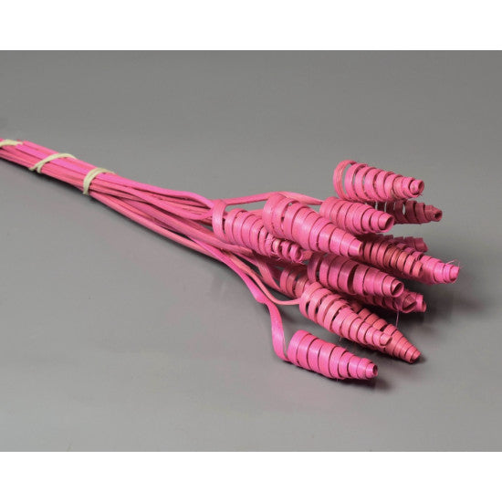 Cane Cone mini inalbit roz