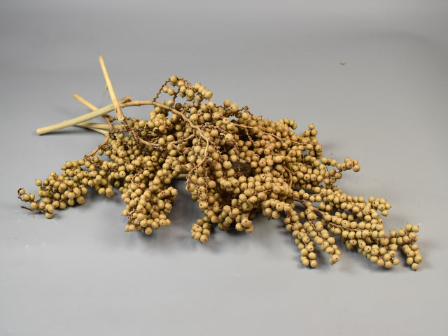 Image for Canella extra natur