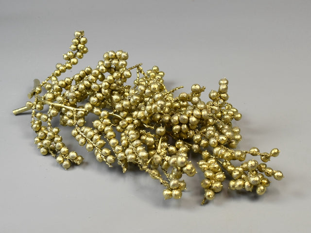 Image for Canella extra sampanie