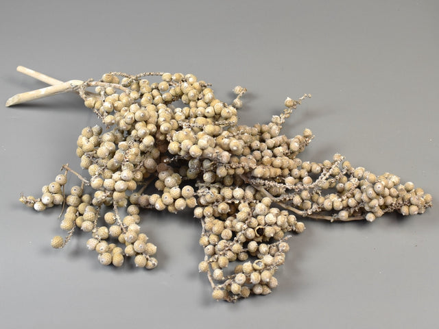 Image for Canella extra cu chiciura