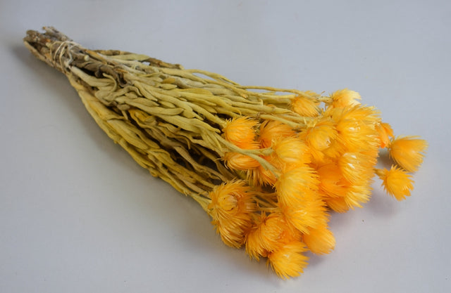 Image for Buchet capblume 30-40cm piersica