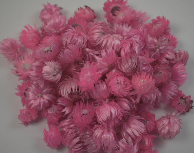 Image for Capete capblume roz deschis