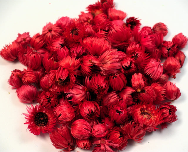 Image for Capete capblume rosu