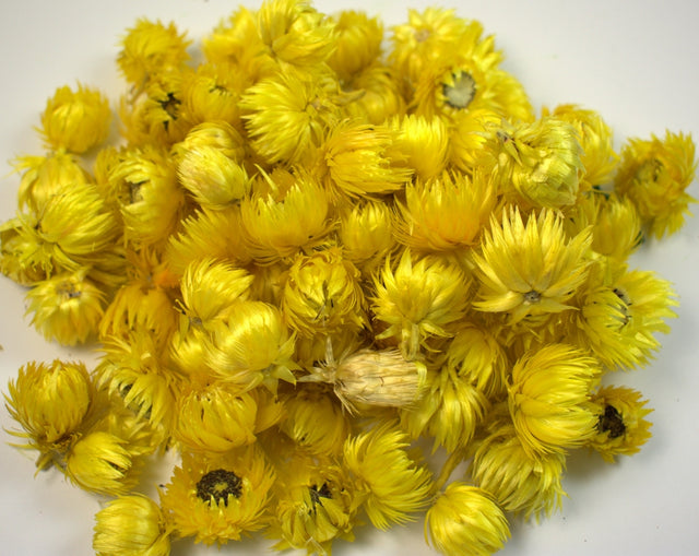 Image for Capete capblume galben