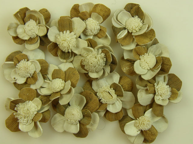 imagine produs Capete margarete ming cirmos 4cm