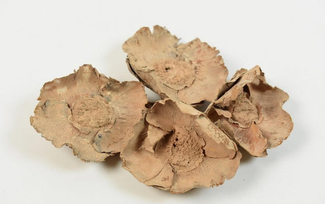 imagine produs Flori de cocos vopsit