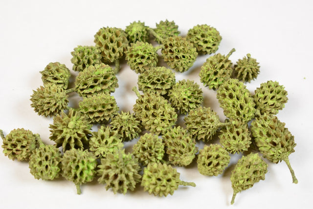 Image for Casuarina vopsit verde deschis