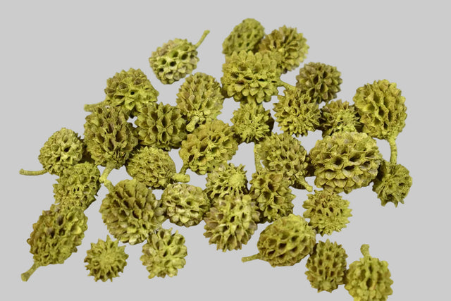 Image for Casuarina vopsit verde oliv