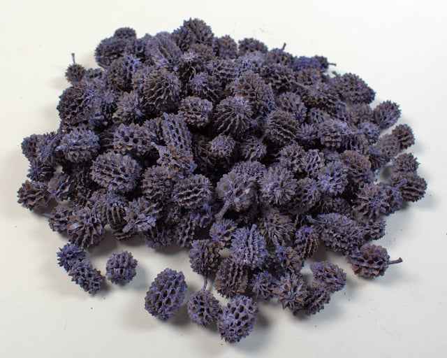 Image for Casuarina vopsit very peri