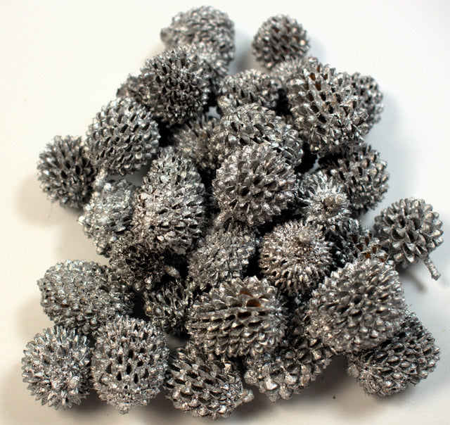 Image for Casuarina xxl argintiu