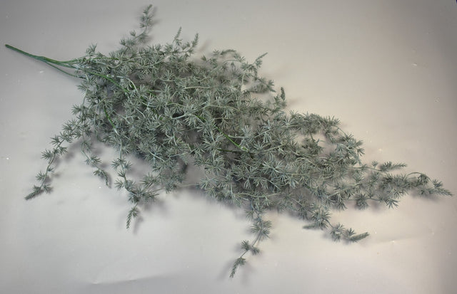 Image for Creanga cedru cu chiciura verde