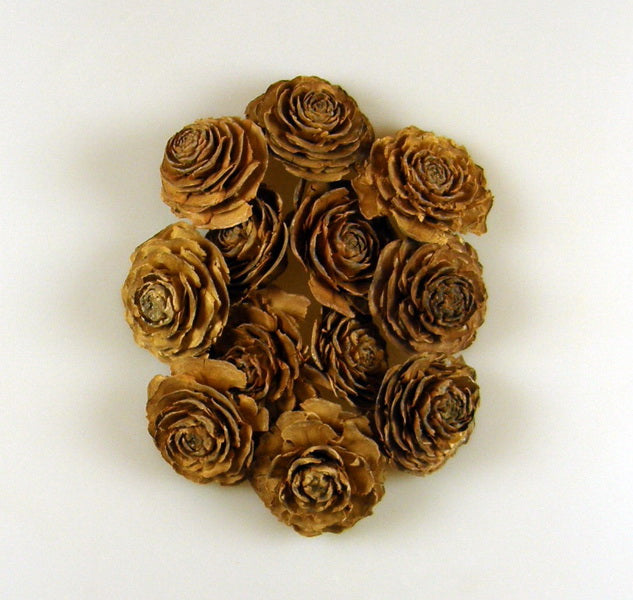 Image for Cap trandafiri cedru 5-7cm natur