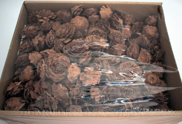 Image for Cap trandafiri cedru 5-7cm natur