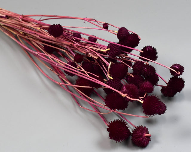 Image for Cicek 80gr bordeaux