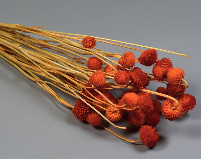 Image for Cicek 80gr portocaliu